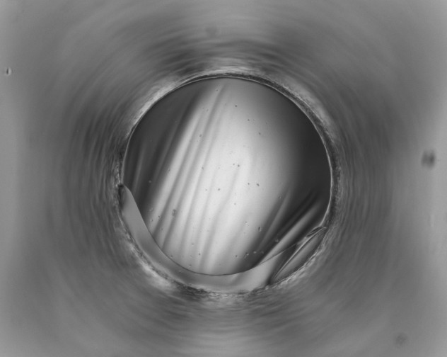 X0000089921377200707201808