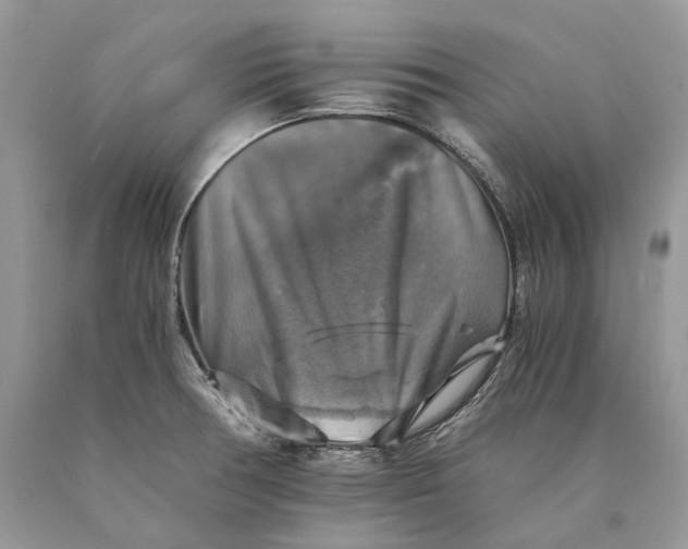 X0000089921378200707201808