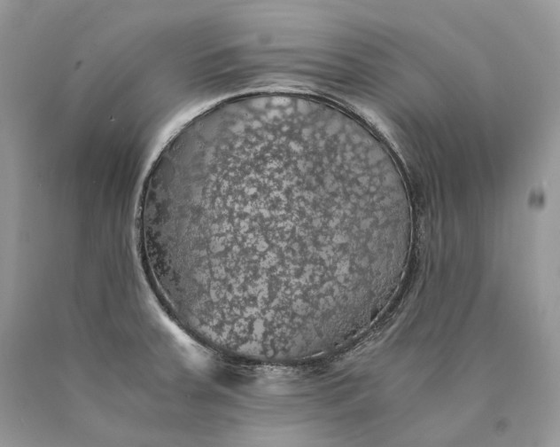 X0000089921379200707201808