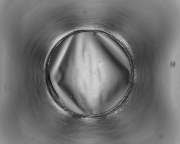 X0000089921380200707201808