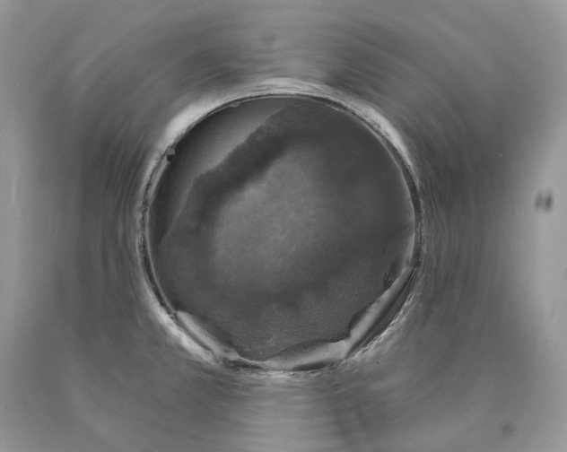 X0000089921381200707201808