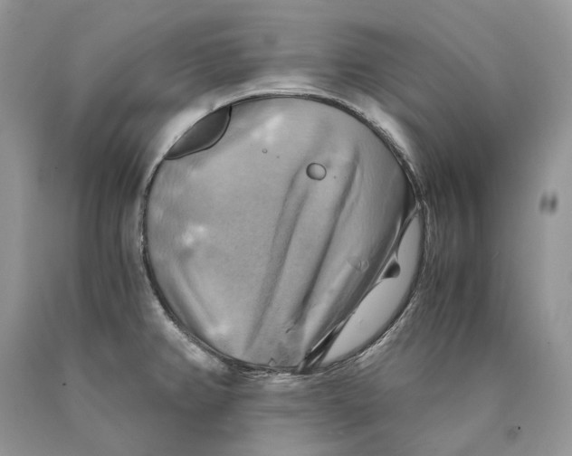 X0000089921382200707201808