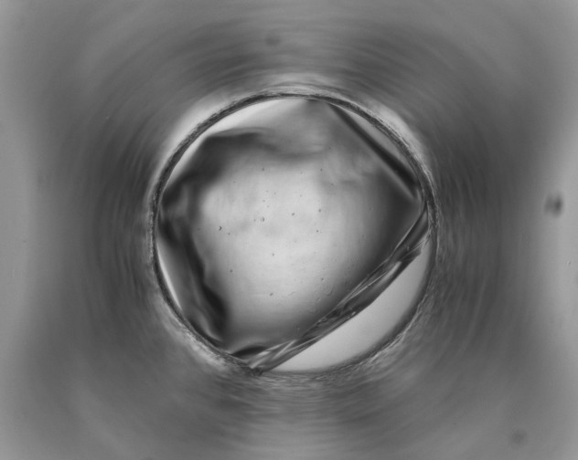 X0000089921384200707201808