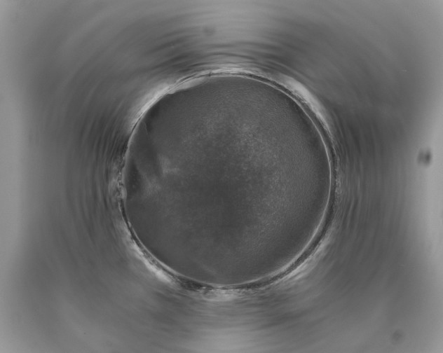 X0000089921385200707201808
