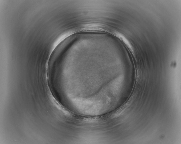 X0000089921386200707201808
