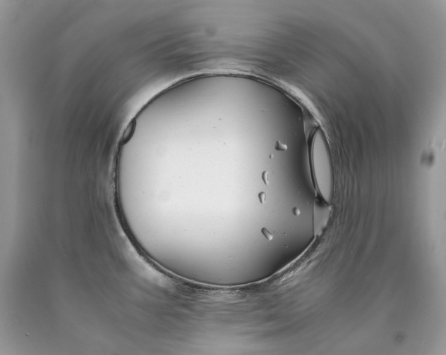 X0000089921387200707201808