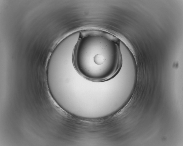 X0000089921388200707201808