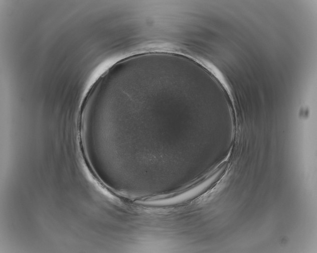 X0000089921389200707201808