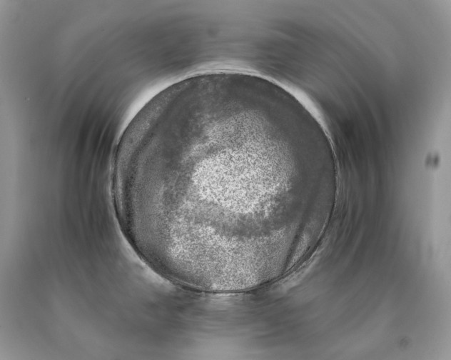 X0000089921390200707201808