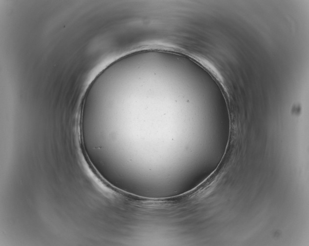 X0000089921391200707201808