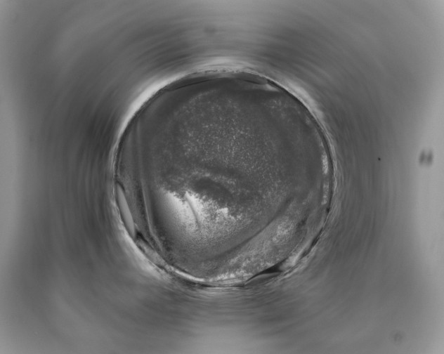 X0000089921392200707201808