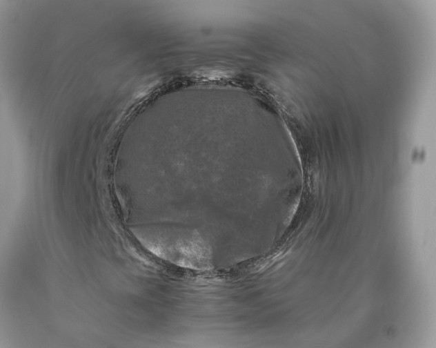 X0000089921393200707201807