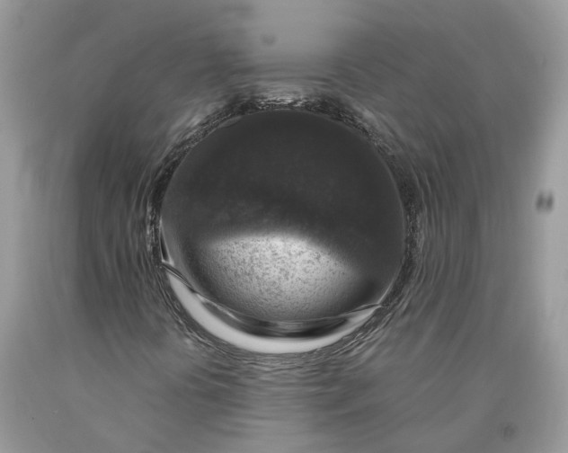 X0000089921394200707201807