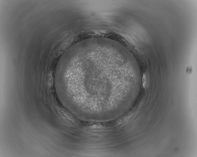 X0000089921395200707201807