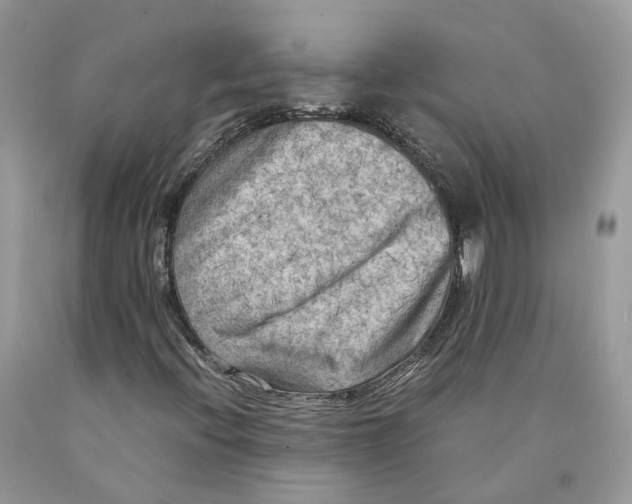 X0000089921396200707201807