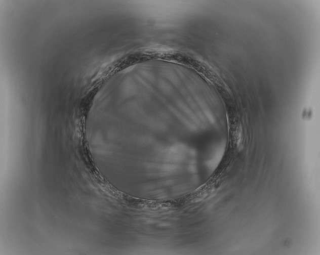 X0000089921397200707201807
