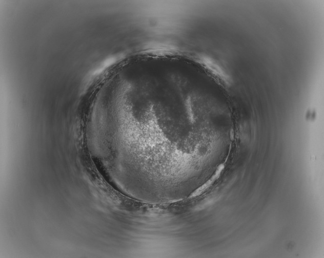 X0000089921398200707201807
