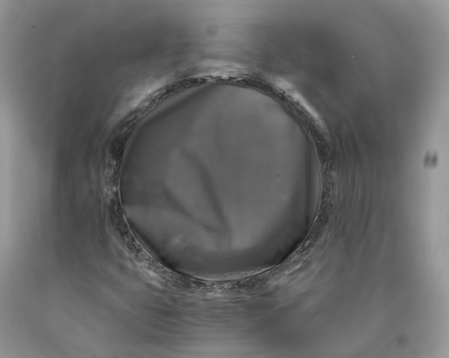 X0000089921399200707201808