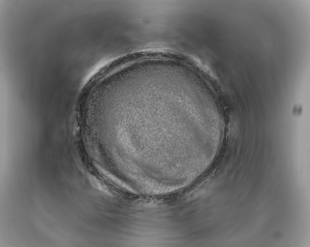 X0000089921400200707201808