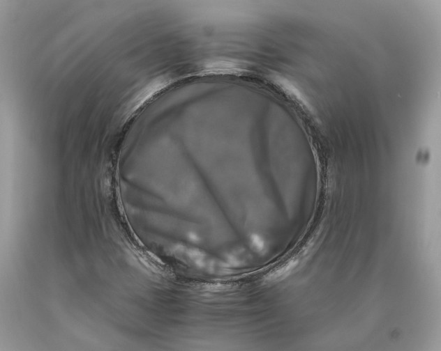 X0000089921401200707201808