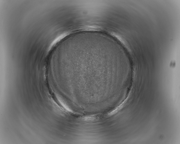 X0000089921402200707201808