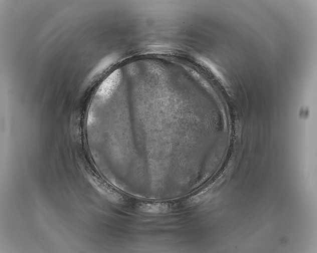 X0000089921403200707201808