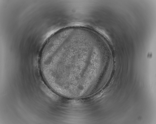 X0000089921404200707201808