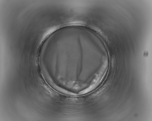 X0000089921405200707201808