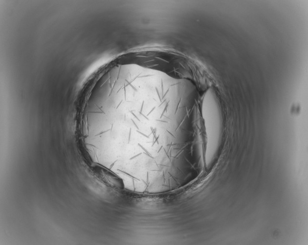 X0000089921406200707201808