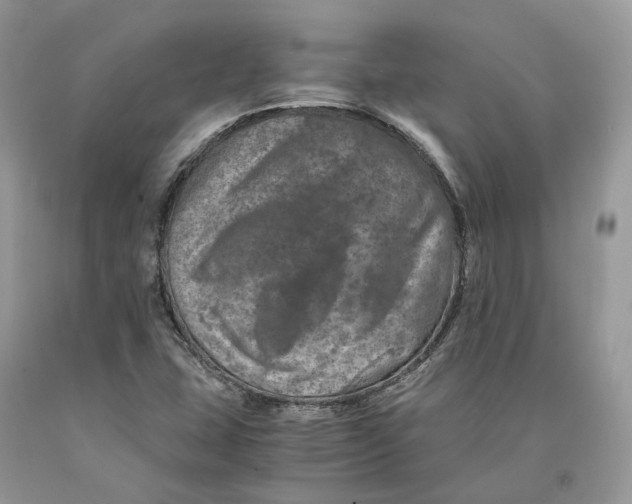X0000089921407200707201808