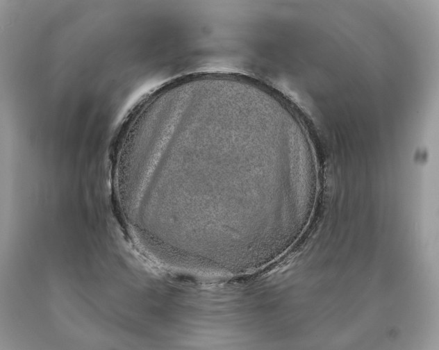 X0000089921408200707201808