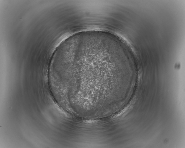 X0000089921409200707201808
