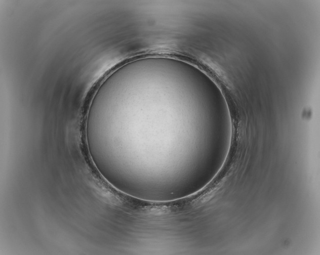 X0000089921410200707201808