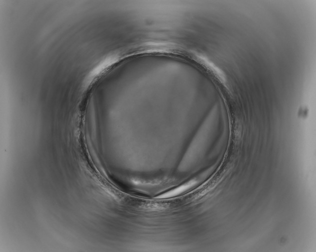 X0000089921411200707201808