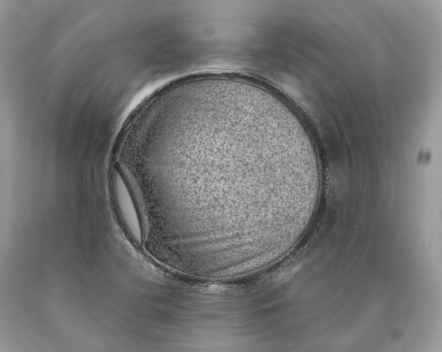 X0000089921412200707201808