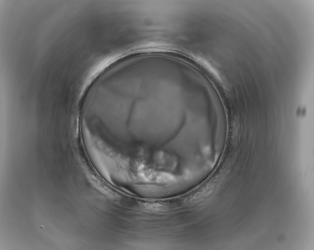X0000089921413200707201808