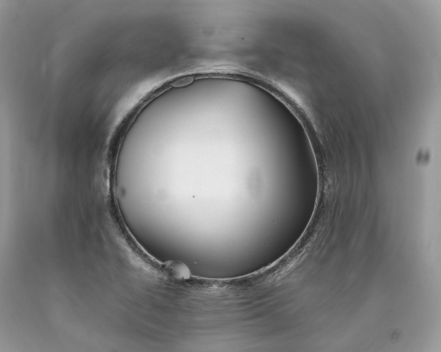 X0000089921414200707201808