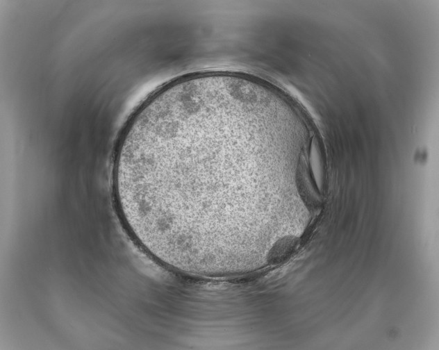 X0000089921416200707201808