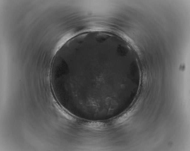 X0000089921417200707201808