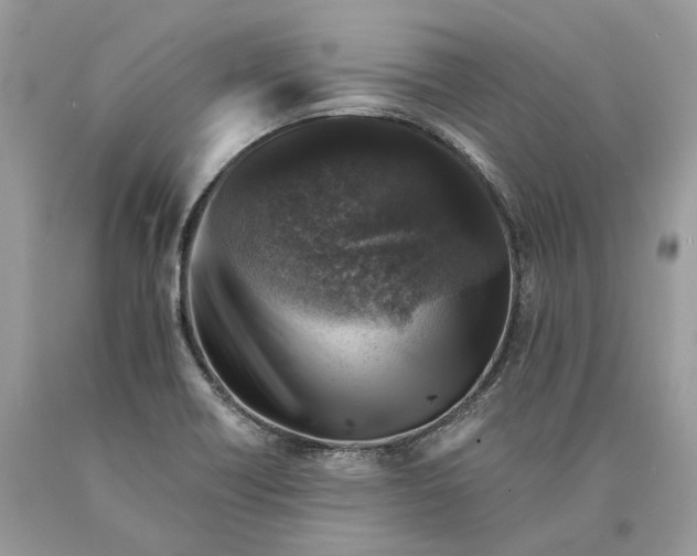 X0000089921418200707201808