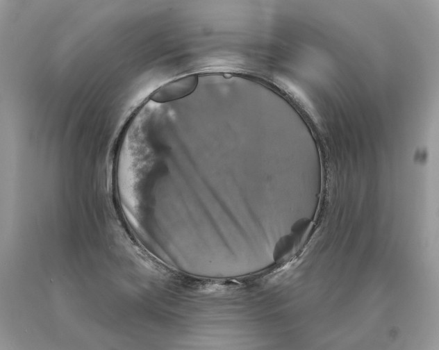 X0000089921419200707201808