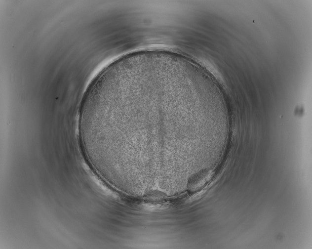 X0000089921420200707201808