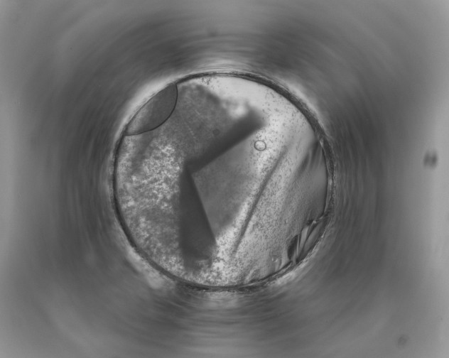 X0000089921421200707201808