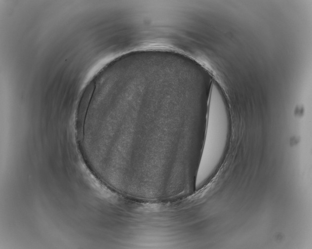 X0000089921422200707201808