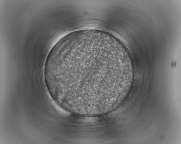 X0000089921423200707201808