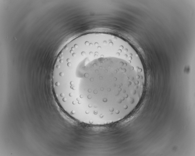X0000089921425200707201808