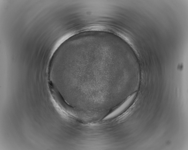 X0000089921426200707201808