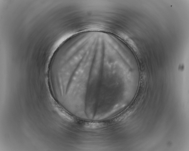 X0000089921427200707201808