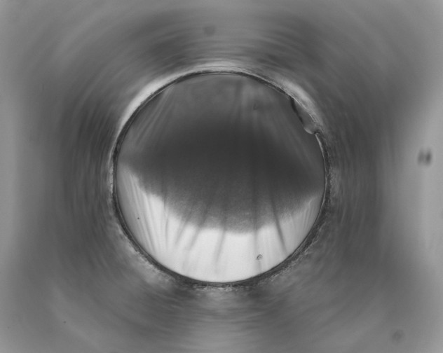 X0000089921428200707201808