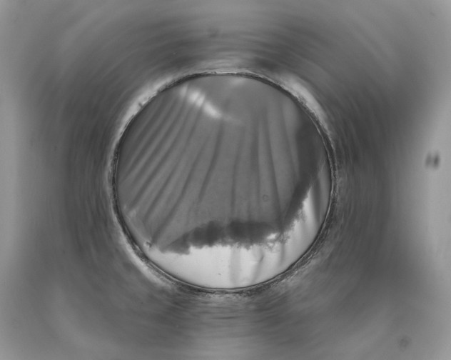 X0000089921429200707201808